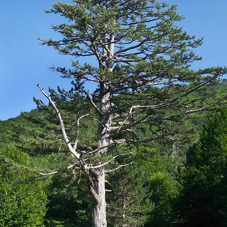 Ducata Xirolivadon